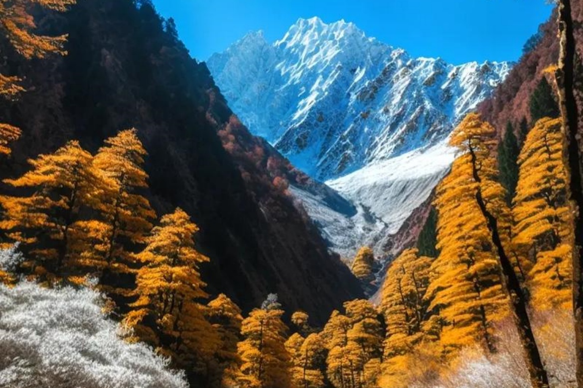 Hailuogou Glacier